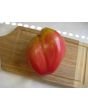 Tomato 'Work Release Paste' 