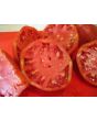 Tomato 'Work Release Paste' 