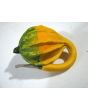 The Ultimate Gourd Seed Mix