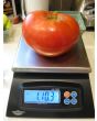 Tomato 'Delicious'