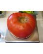 Tomato 'Delicious'