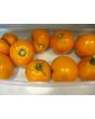 Tomato 'Cossack' 	 1