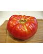 Tomato 'Purple Hillbilly'