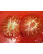 Tomato 'Purple Hillbilly'