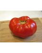 Tomato 'Pantano Romanesco'