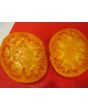 Tomato 'Kentucky Beefsteak'