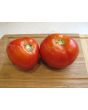 Tomato 'Abraham Lincoln'