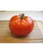 Tomato 'Saint Pierre'
