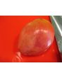 Tomato 'Orlinyi Klyuv' AKA 'Eagle’s Beak' 