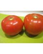 Tomato 'Razzleberry F2'