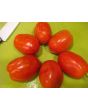 Tomato 'Plum Tigris'