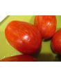 Tomato 'Plum Tigris'