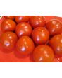 Tomato 'Thessaloniki'