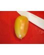Tomato 'Cream Sausage' AKA 'Banana Cream' 