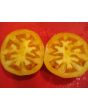 Tomato 'Orange'