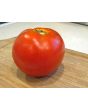 Tomato 'Ace 55'
