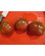 Tomato 'Amazon Chocolate'