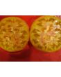Tomato 'Hillbilly' 