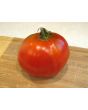Tomato 'Mule Team' Seeds