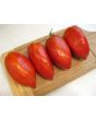 Tomato 'Speckled Roman' 