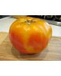 Tomato 'Peppermint' 