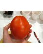 Tomato 'Pete's Italian Paste' 