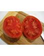 Tomato 'Pete's Italian Paste' 