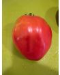 Tomato 'Work Release Paste' 