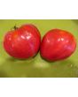 Tomato 'Orlinyi Klyuv' AKA 'Eagle’s Beak' 