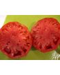 Tomato 'Orlinyi Klyuv' AKA 'Eagle’s Beak' 