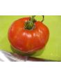 Tomato 'Marianna's Conflict' 