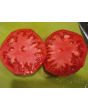 Tomato 'Marianna's Conflict' 