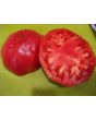 Tomato 'Rufus Carrigan's Mexican Pink'
