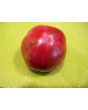 Tomato 'Violet Jasper' AKA 'Tzi Bi U' 