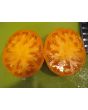 Tomato 'Goldie' 