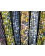 Glass Gem Corn Seeds