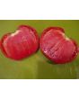 Tomato 'Reif Red Heart' 