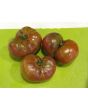 Tomato 'BKX' AKA 'Black Krim Potato Leaf' 