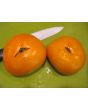 Tomato 'Yellow Brandywine'