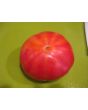 Tomato 'Northern Lights'