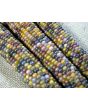 Glass Gem Corn Seeds