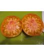 Tomato 'Northern Lights'
