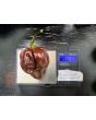 Hot Pepper ‘Trinidad Chocolate Scorpion Cappuccino’ Seeds (Certified Organic)