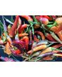 Hot Pepper 'Sangria F2' Seeds (Certified Organic)