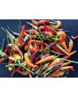 Hot Pepper 'Sangria F2' Seeds (Certified Organic)