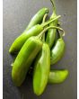 Hot Pepper ‘Serrano’ Seeds (Certified Organic) 
