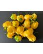 Hot Pepper ‘Bahamian Beast Yellow' Seeds (Certified Organic)