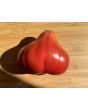 Tomato 'Pear Pink' Seeds (Certified Organic)