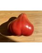 Tomato 'Pear Pink' Seeds (Certified Organic)