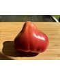 Tomato 'Pear Pink' Seeds (Certified Organic)